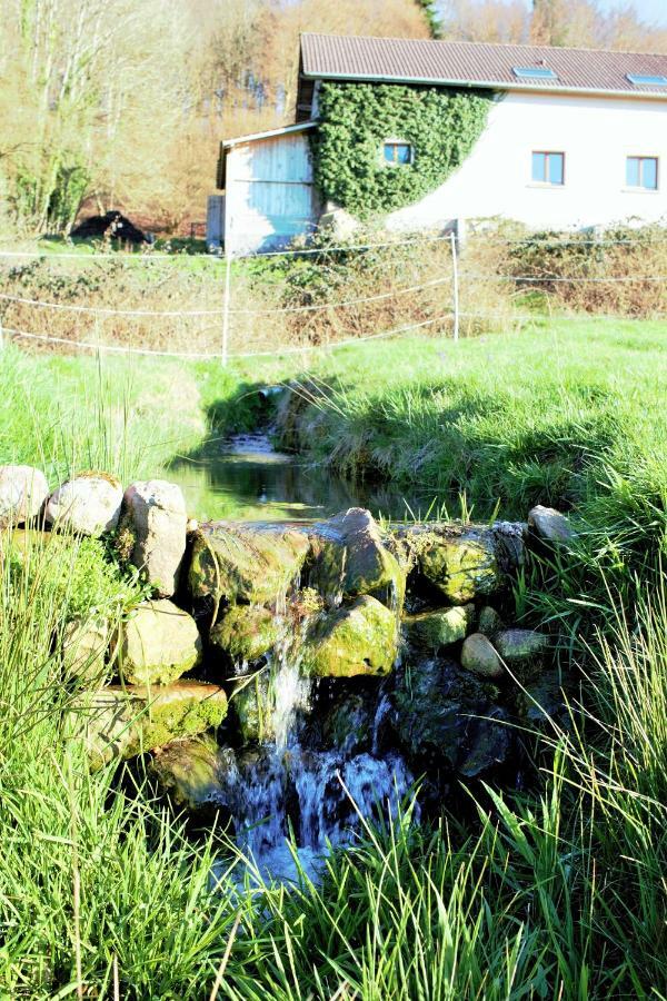 Au Temps De La Source Villa Raon-aux-Bois Exterior photo