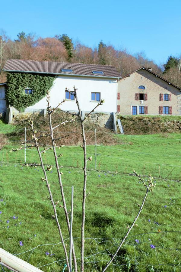 Au Temps De La Source Villa Raon-aux-Bois Exterior photo