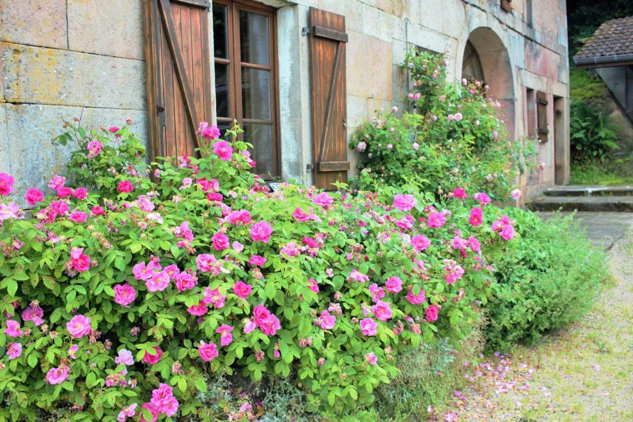 Au Temps De La Source Villa Raon-aux-Bois Exterior photo